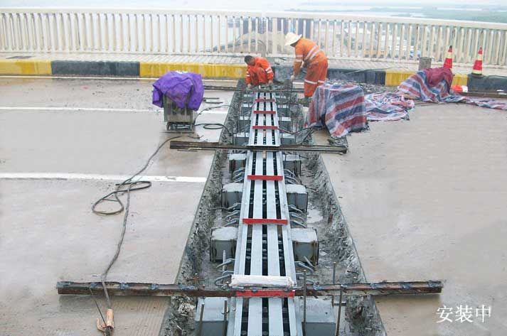 橫琴大橋橋梁伸縮縫裝置更換施工圖